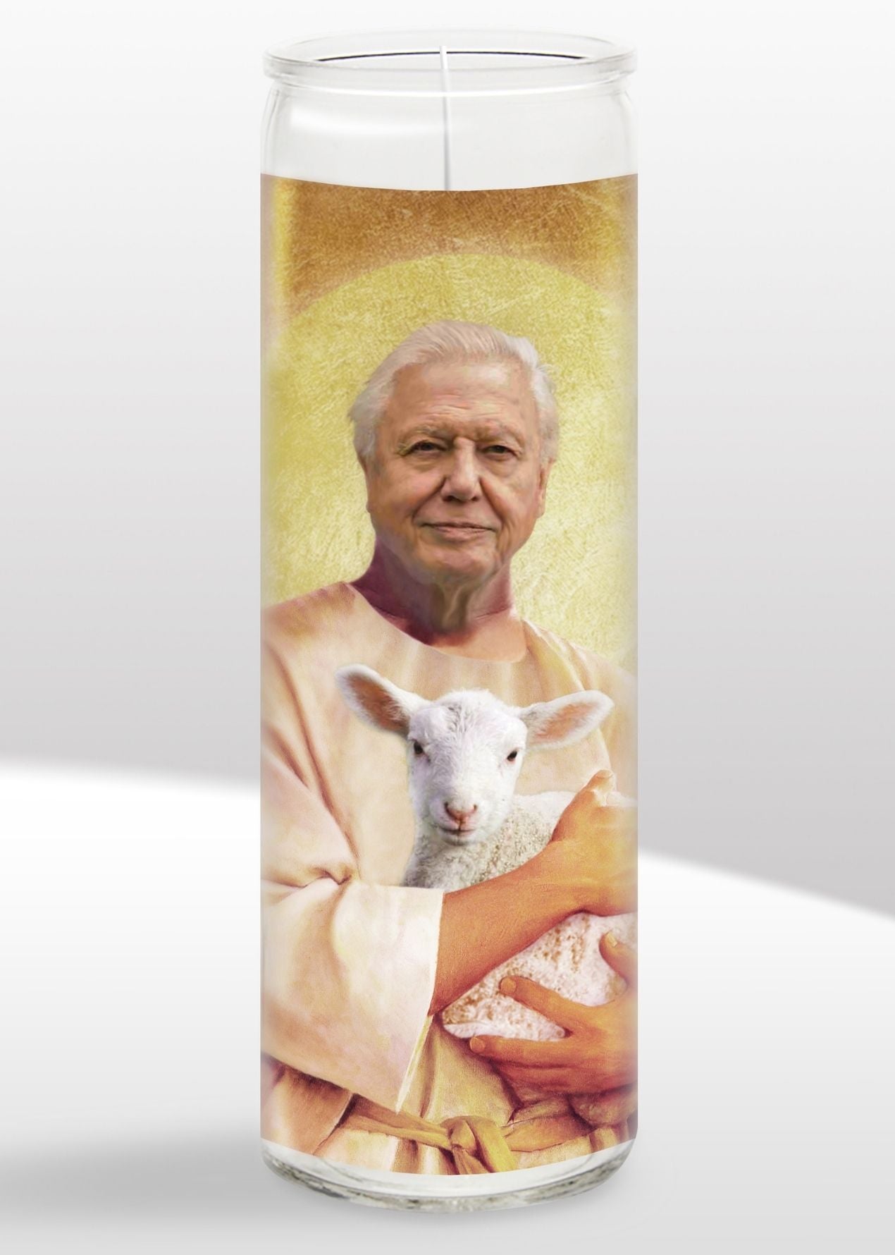 David Attenborough Candle